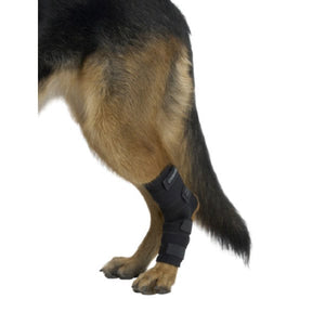 Rehab dog hock protector