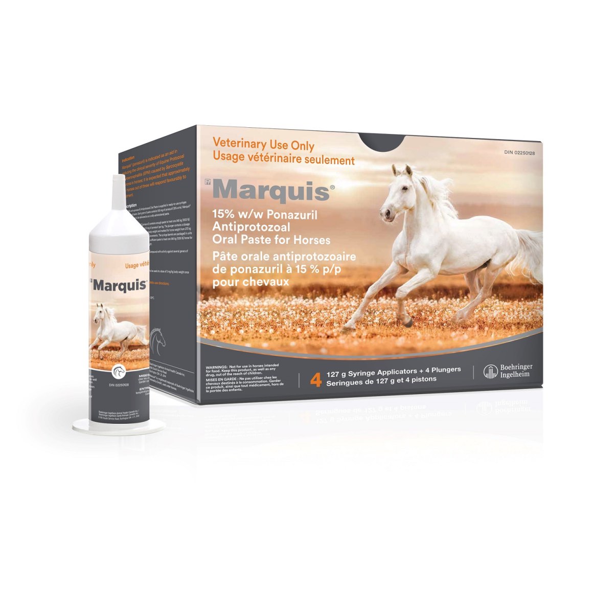 Marquis