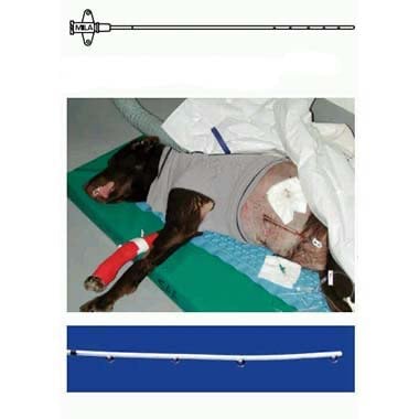 Diffusion/wound catheter