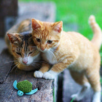 Refillables toy for cats