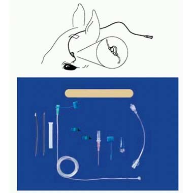 Eye lavage kit