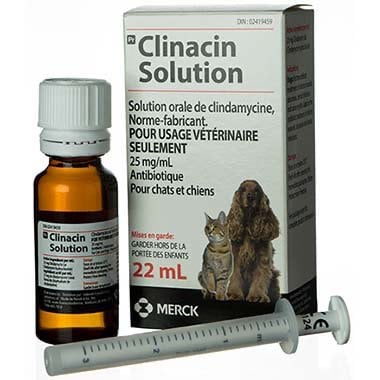 Clinacin Oral Solution