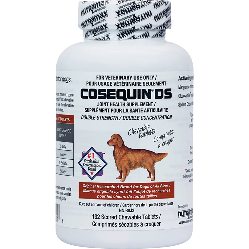 Cosequin DS chewable for dogs