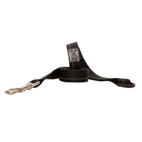 Primary Leash 6 ft