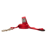 Primary Leash 6 ft