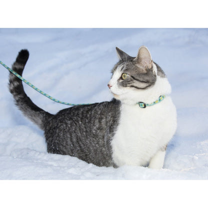Breakaway collar