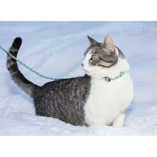 Patterned breakaway collar for cats