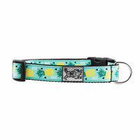 Patterned clip collar for dogs