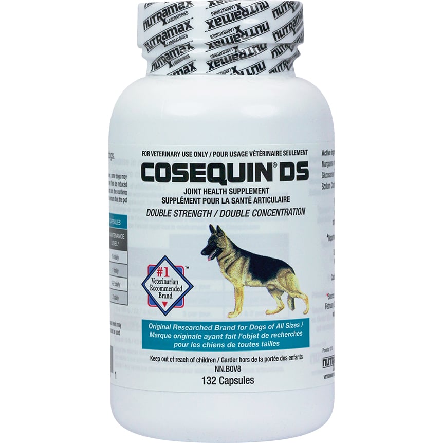 Cosequin DS for dogs