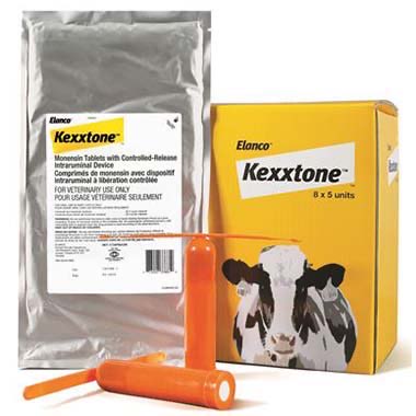 Kexxtone