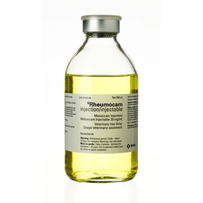 Rheumocam injection for bovine, sheep and swine