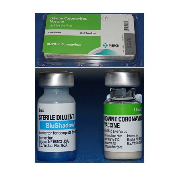 Bovilis Coronavirus