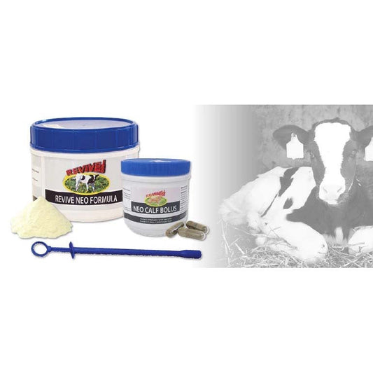 Revive Neo calf bolus