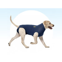 Medical Pet Shirt for Dog