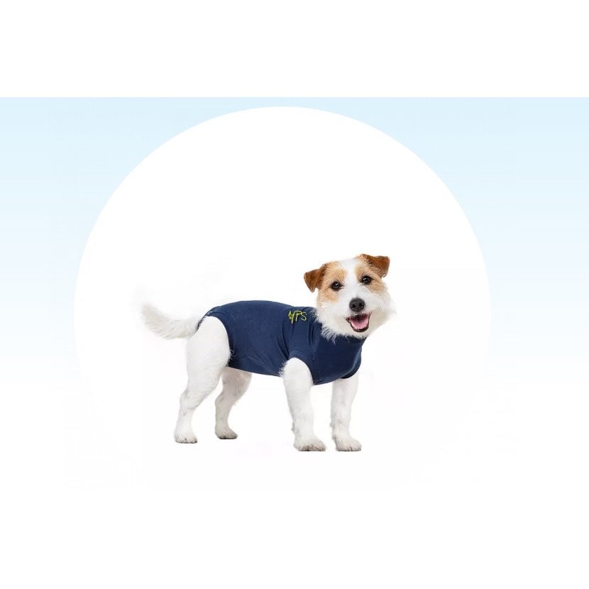 Medical Pet Shirt for Dog