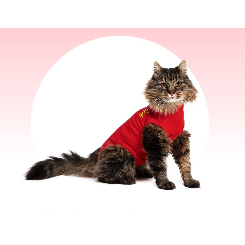 Medical Pet Shirt for Cat