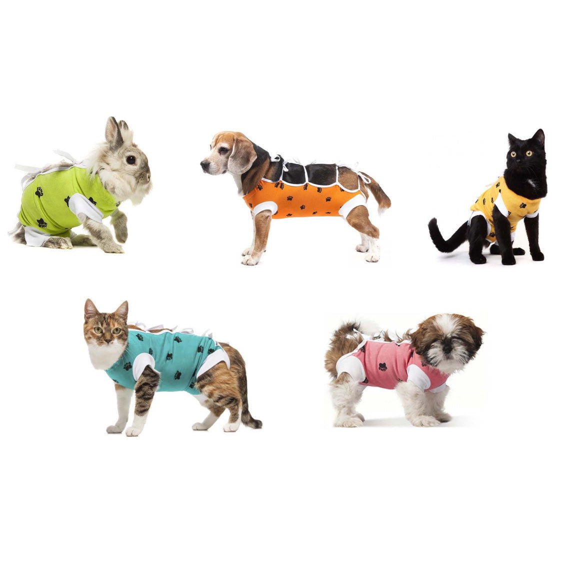 Postoperative Gown for Pets