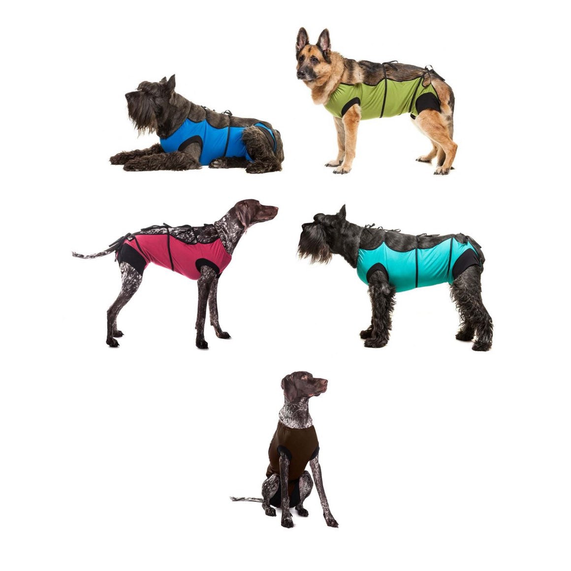 Postoperative Gown for Pets