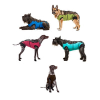 Postoperative Gown for Pets