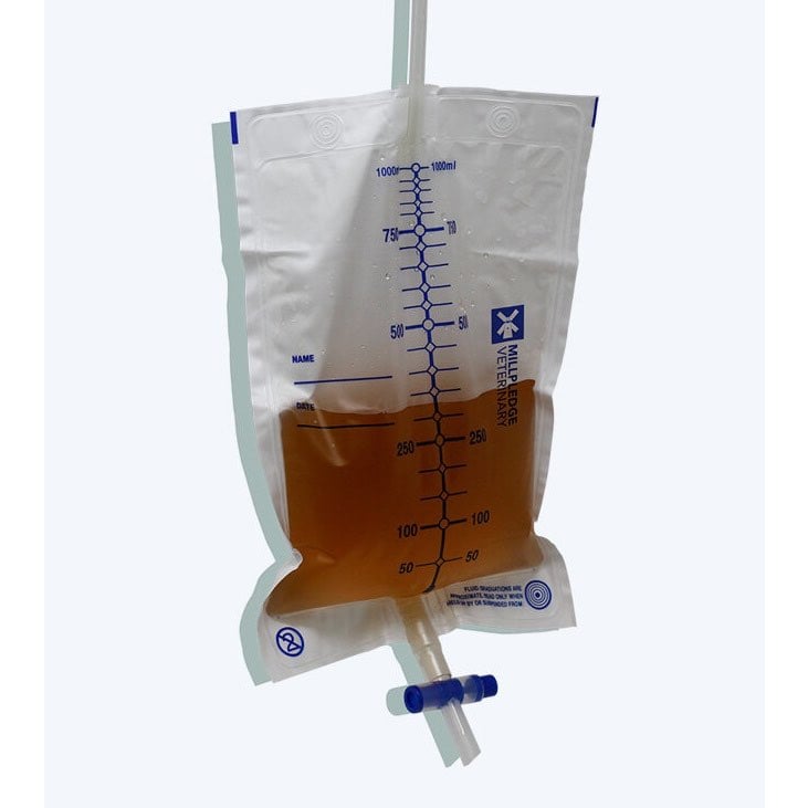 Fluid collection bag