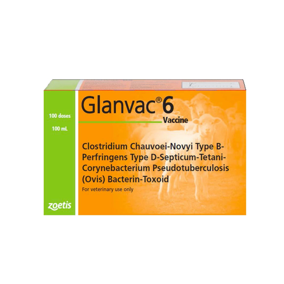 Glanvac 6