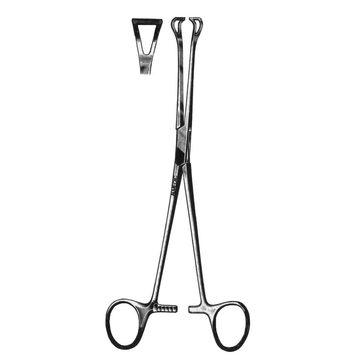 Babcock forceps