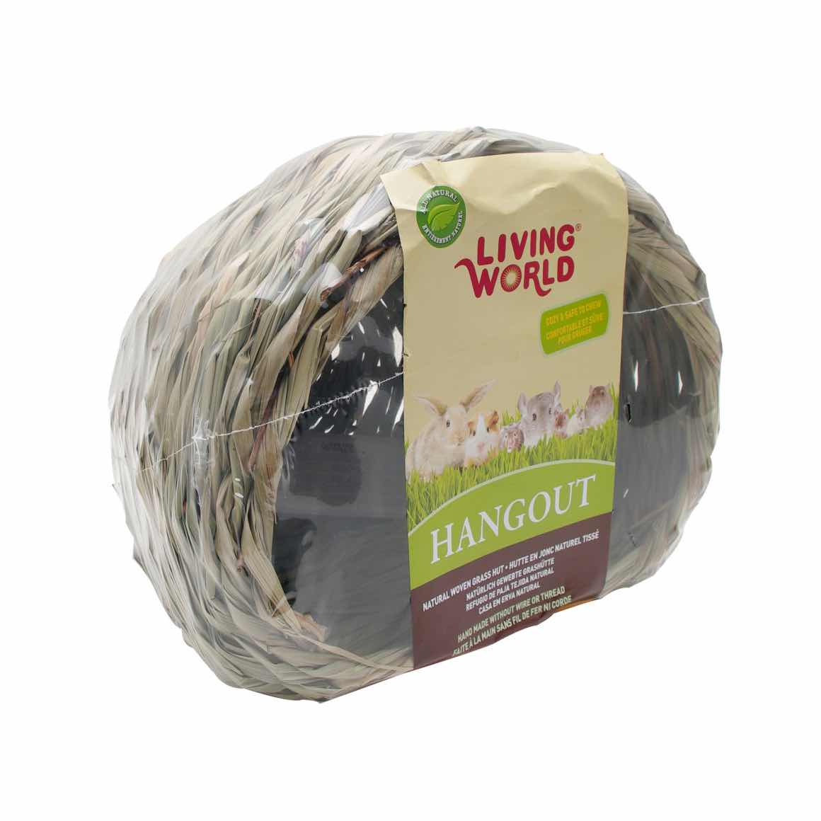 Hangout grass hut