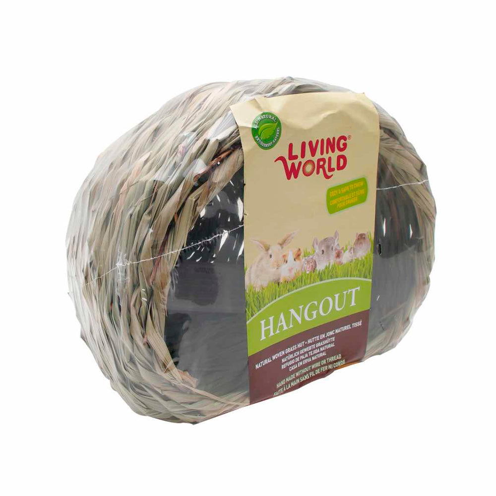Hangout grass hut