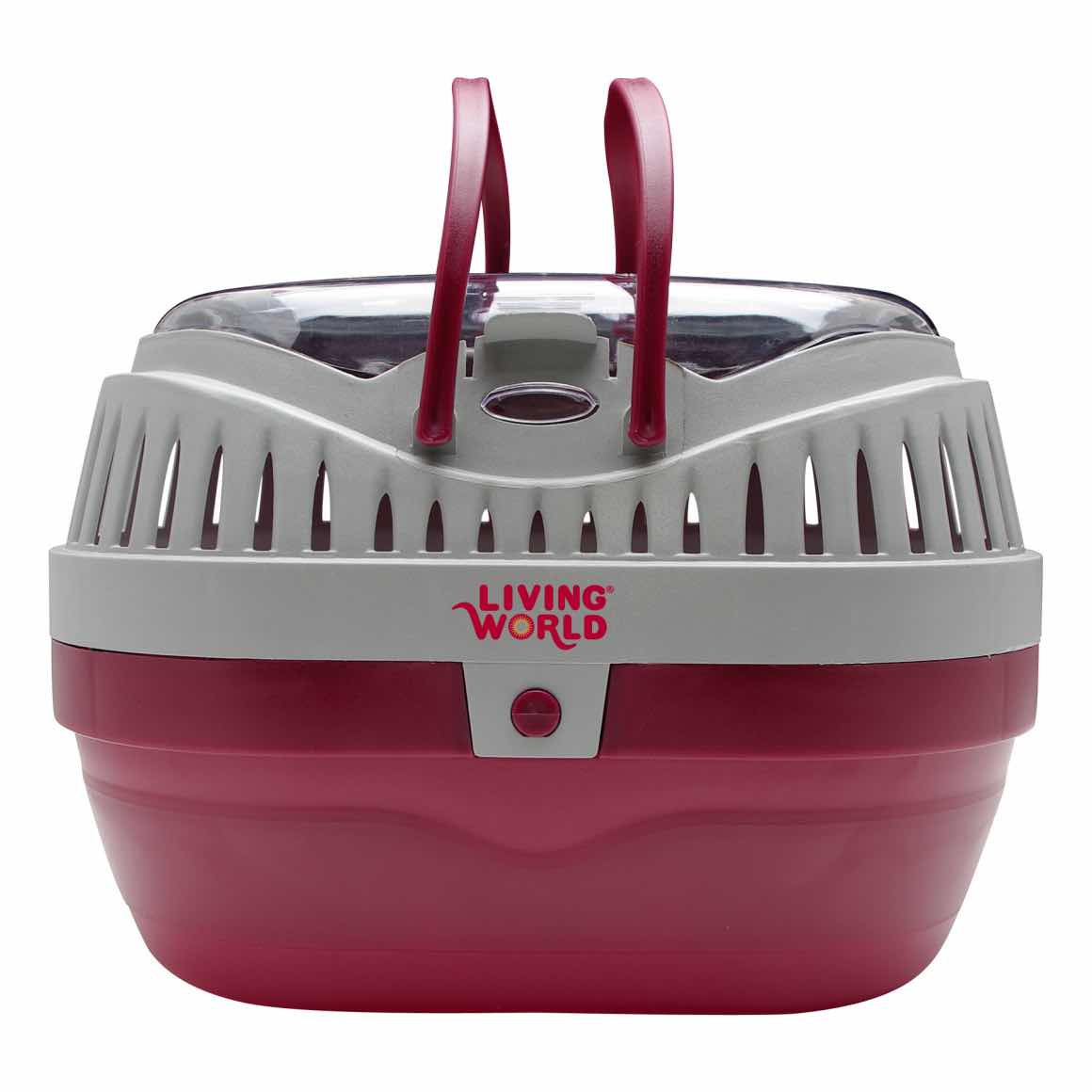 Small animals carrier