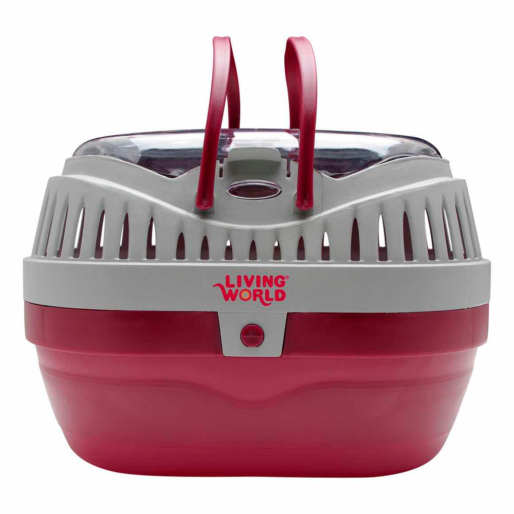 Small animals carrier