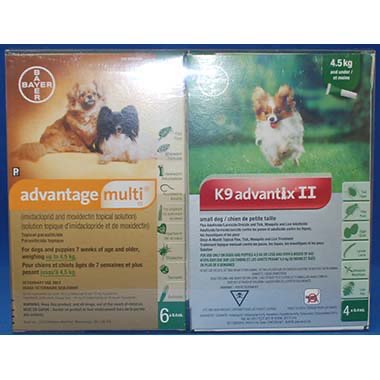 Multi-Duo Plus