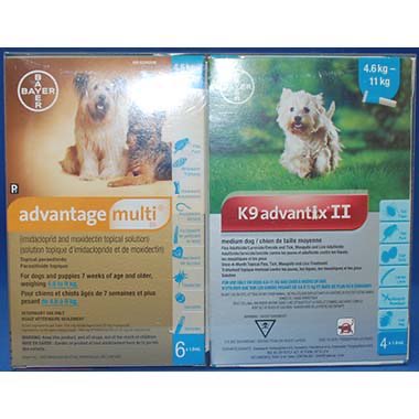 Multi-Duo Plus