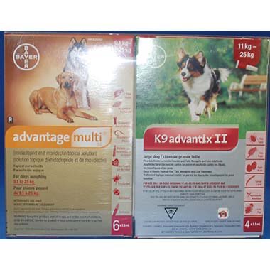 Multi-Duo Plus