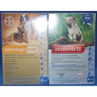 Multi-Duo Plus