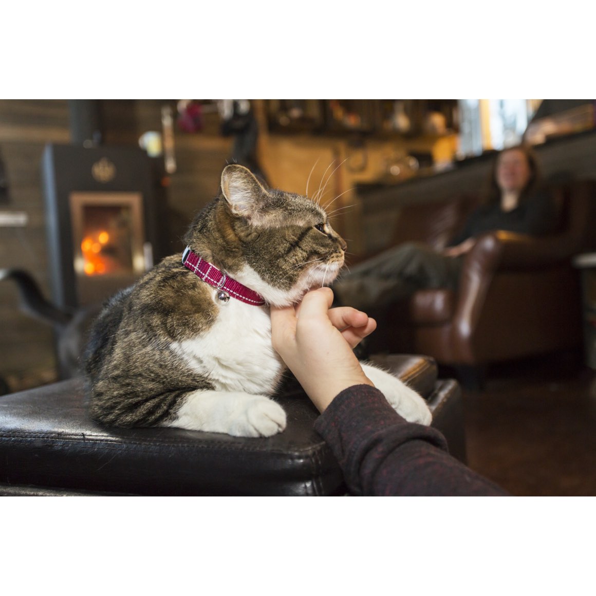 Primary breakaway collar