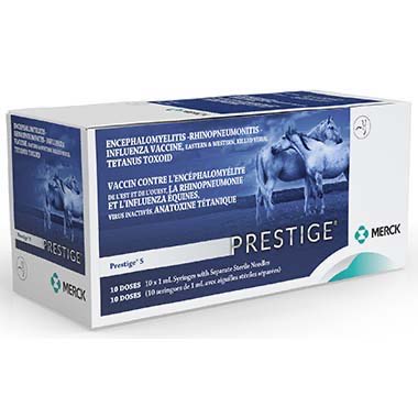 Prestige 5
