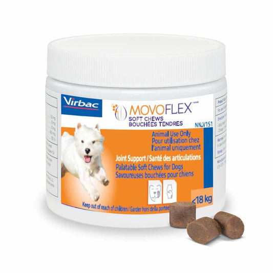 Movoflex for small dogs