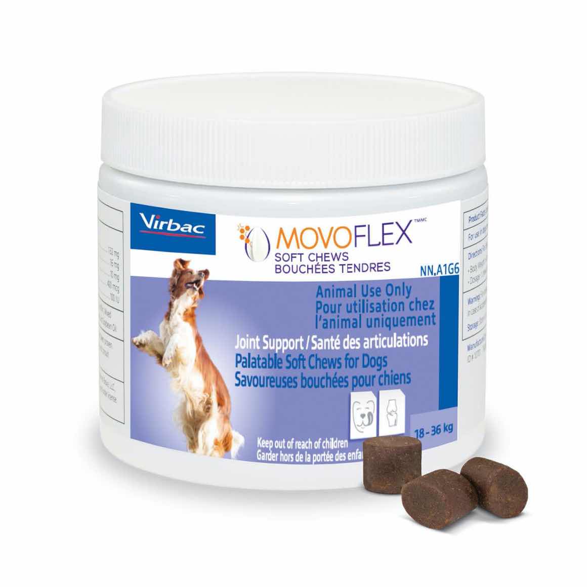 Movoflex for medium dogs