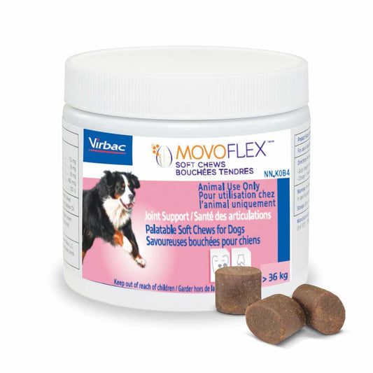 Movoflex for large dogs
