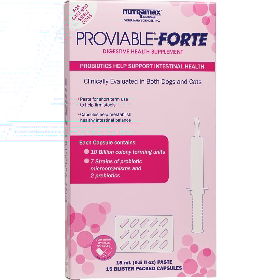 Proviable Forte kit for cats and small dogs