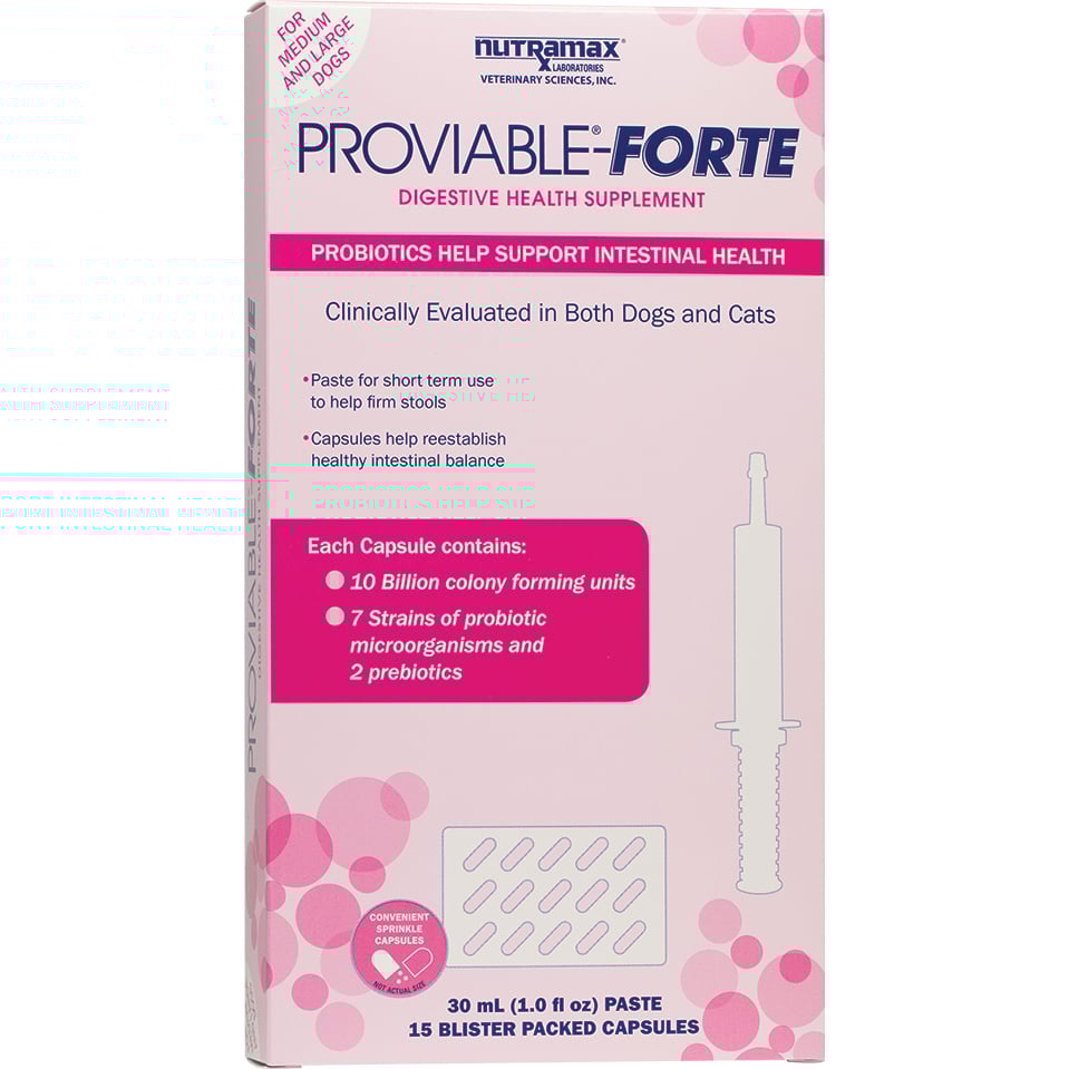 Proviable Forte kit for medium to large dogs