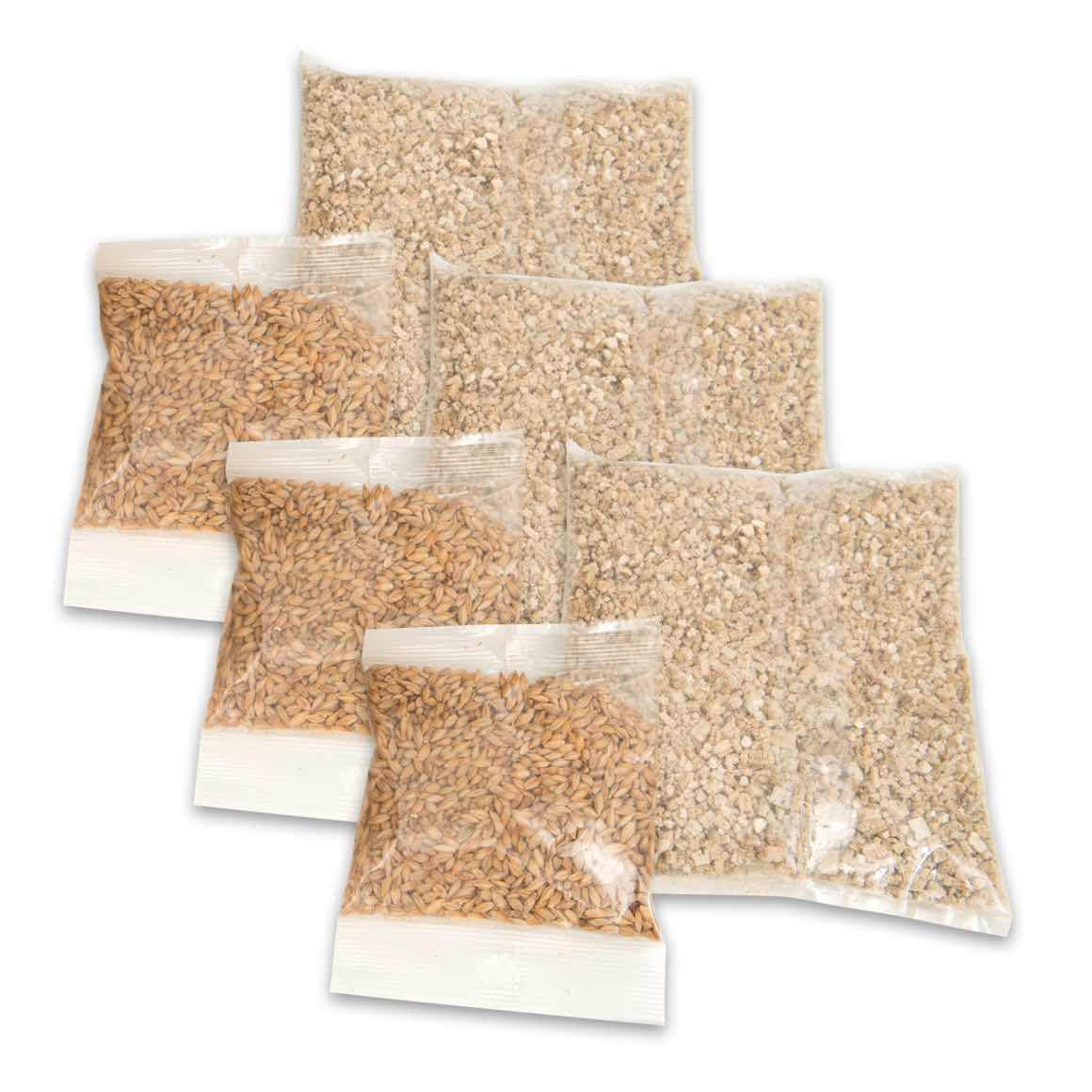 Cat grass kit Senses 2.0