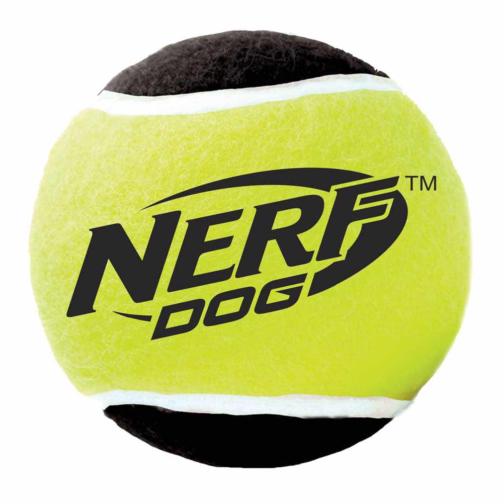 Nerf Dog Squeaker tennis balls