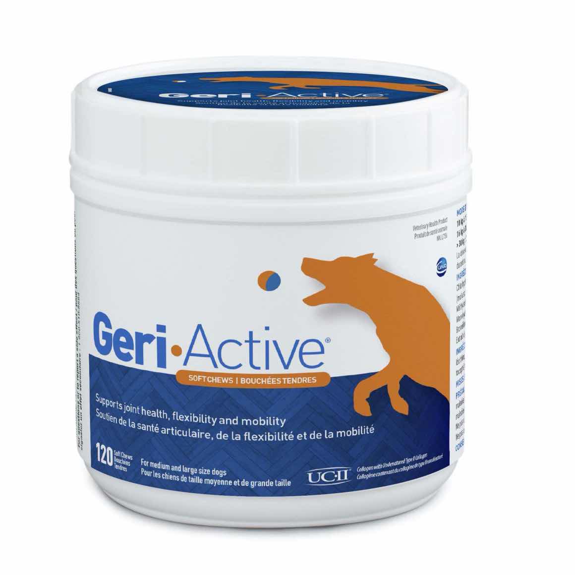 Geri-Active