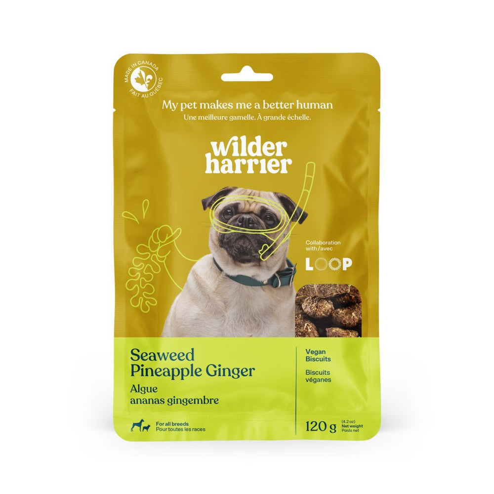 Vegan dog treats
