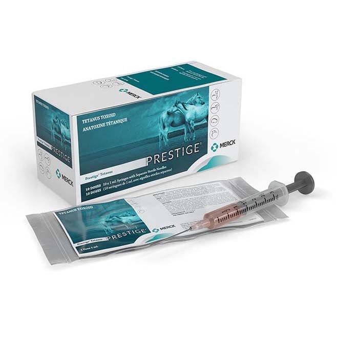 Prestige Tetanus