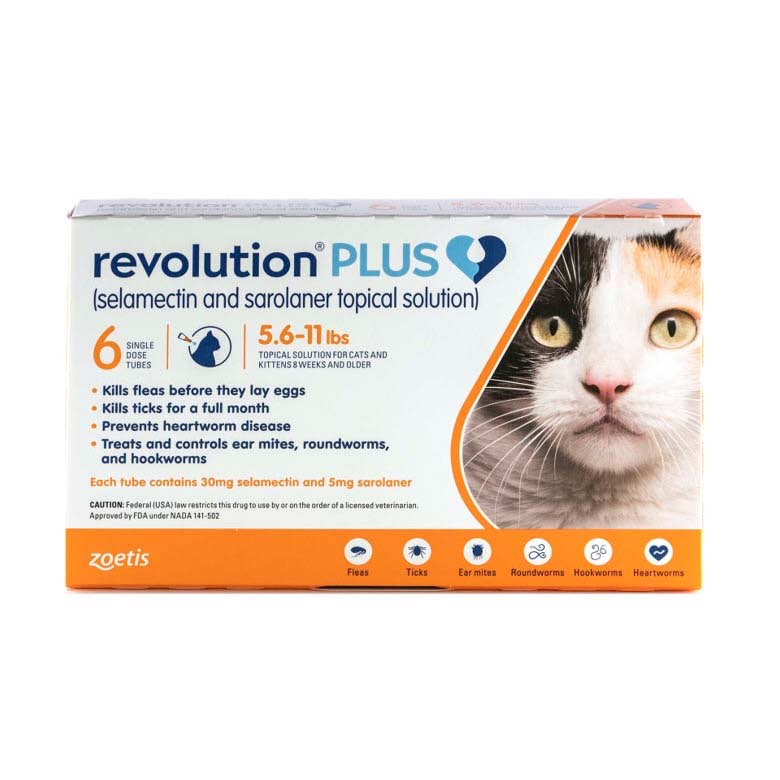 Revolution PLUS