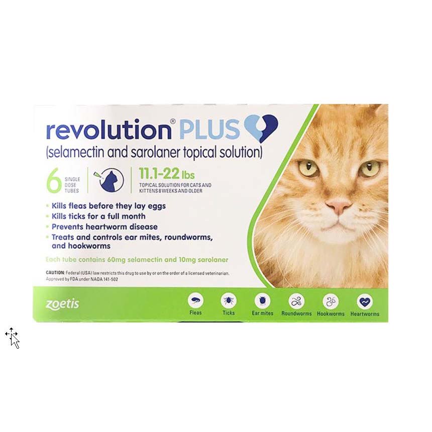 Revolution PLUS