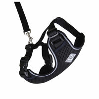 Harness Adventure for cats