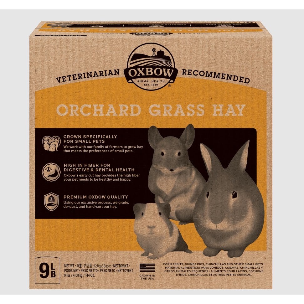 Foin Orchard Grass
